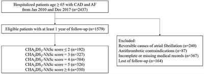 Frontiers Assessment of the CHA2DS2 VASc Score for the